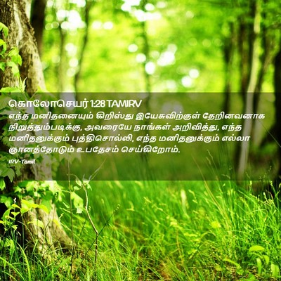 Picture 02 - கொலோசெயர் 1:28 TAMIRV - எந்த மனிதனையும் - Bible Verse Picture