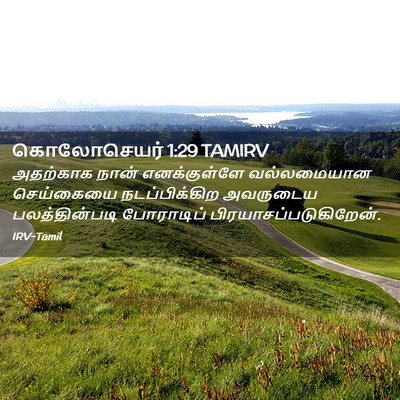 Picture 02 - கொலோசெயர் 1:29 TAMIRV - அதற்காக நான் - Bible Verse Picture