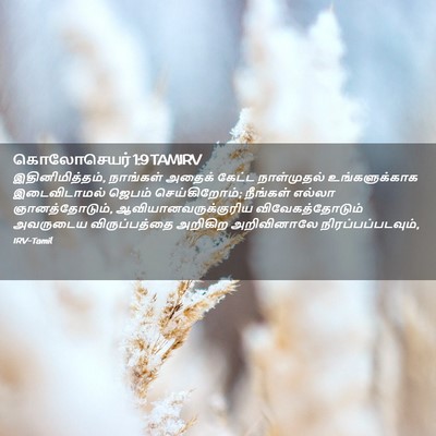 Picture 02 - கொலோசெயர் 1:9 TAMIRV - இதினிமித்தம், - Bible Verse Picture