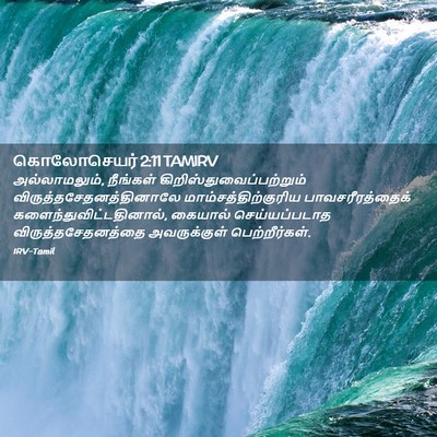 Picture 02 - கொலோசெயர் 2:11 TAMIRV - அல்லாமலும், - Bible Verse Picture