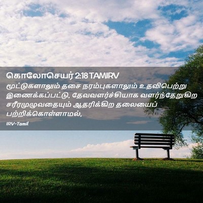 Picture 02 - கொலோசெயர் 2:18 TAMIRV - மூட்டுகளாலும் தசை - Bible Verse Picture
