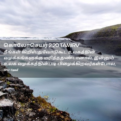 Picture 02 - கொலோசெயர் 2:20 TAMIRV - நீங்கள் - Bible Verse Picture