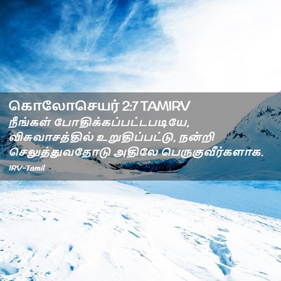 Picture 02 - கொலோசெயர் 2:7 TAMIRV - நீங்கள் - Bible Verse Picture