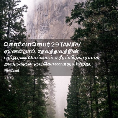 Picture 02 - கொலோசெயர் 2:9 TAMIRV - ஏனென்றால், - Bible Verse Picture