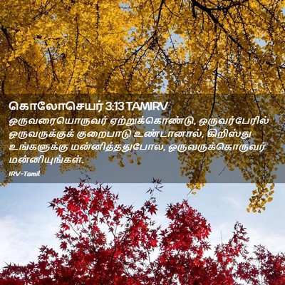 Picture 02 - கொலோசெயர் 3:13 TAMIRV - ஒருவரையொருவர் - Bible Verse Picture