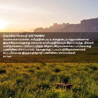 Picture 02 - கொலோசெயர் 3:22 TAMIRV - வேலைக்காரர்களே, - Bible Verse Picture
