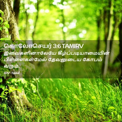 Picture 02 - கொலோசெயர் 3:6 TAMIRV - இவைகளினாலேயே - Bible Verse Picture