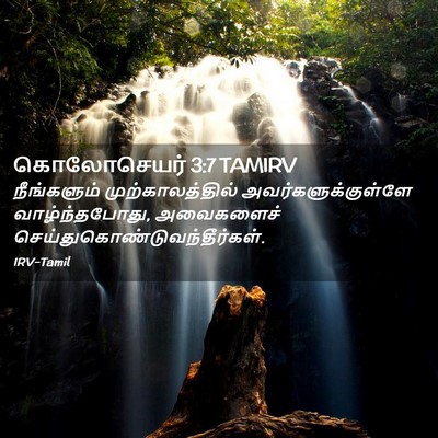 Picture 02 - கொலோசெயர் 3:7 TAMIRV - நீங்களும் - Bible Verse Picture