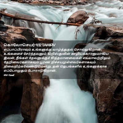 Picture 02 - கொலோசெயர் 4:12 TAMIRV - எப்பாப்பிராவும் - Bible Verse Picture