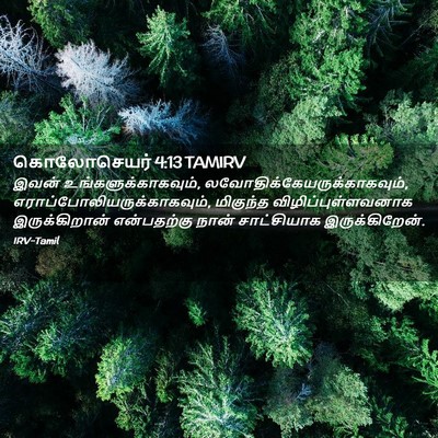 Picture 02 - கொலோசெயர் 4:13 TAMIRV - இவன் - Bible Verse Picture
