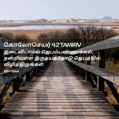 Picture 02 - கொலோசெயர் 4:2 TAMIRV - இடைவிடாமல் - Bible Verse Picture