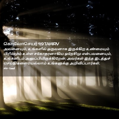 Picture 02 - கொலோசெயர் 4:9 TAMIRV - அவனையும், - Bible Verse Picture