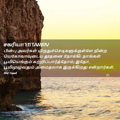 Picture 02 - சகரியா 1:11 TAMIRV - பின்பு அவர்கள் - Bible Verse Picture