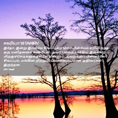 Picture 02 - சகரியா 1:8 TAMIRV - இதோ, இன்று இரவிலே - Bible Verse Picture