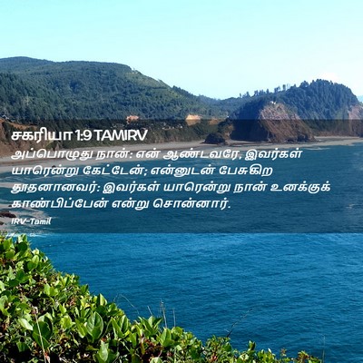 Picture 02 - சகரியா 1:9 TAMIRV - அப்பொழுது நான்: - Bible Verse Picture