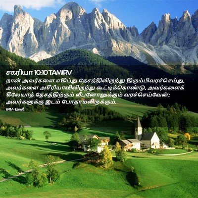 Picture 02 - சகரியா 10:10 TAMIRV - நான் அவர்களை - Bible Verse Picture
