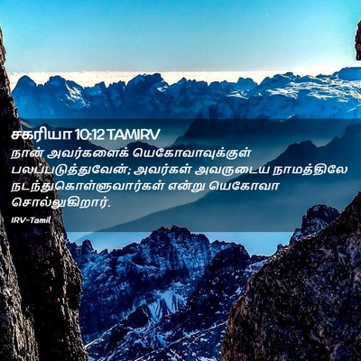 Picture 02 - சகரியா 10:12 TAMIRV - நான் அவர்களைக் - Bible Verse Picture