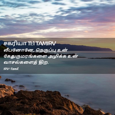 Picture 02 - சகரியா 11:1 TAMIRV - லீபனோனே, நெருப்பு - Bible Verse Picture