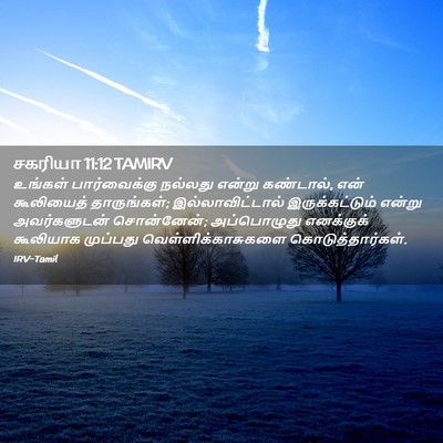 Picture 02 - சகரியா 11:12 TAMIRV - உங்கள் பார்வைக்கு - Bible Verse Picture