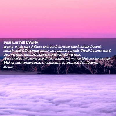 Picture 02 - சகரியா 11:16 TAMIRV - இதோ, நான் - Bible Verse Picture