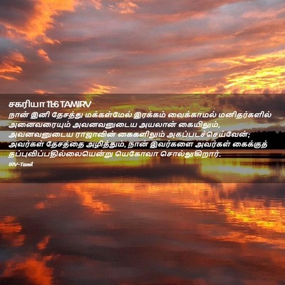 Picture 02 - சகரியா 11:6 TAMIRV - நான் இனி தேசத்து - Bible Verse Picture