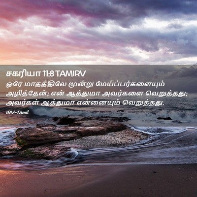 Picture 02 - சகரியா 11:8 TAMIRV - ஒரே மாதத்திலே - Bible Verse Picture