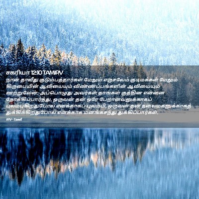 Picture 02 - சகரியா 12:10 TAMIRV - நான் தாவீது - Bible Verse Picture
