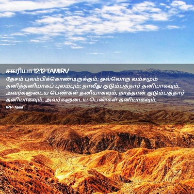Picture 02 - சகரியா 12:12 TAMIRV - தேசம் - Bible Verse Picture