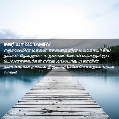 Picture 02 - சகரியா 12:5 TAMIRV - எருசலேமின் - Bible Verse Picture