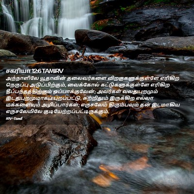Picture 02 - சகரியா 12:6 TAMIRV - அந்நாளிலே - Bible Verse Picture