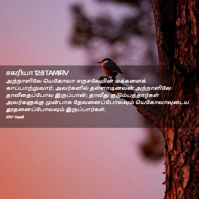 Picture 02 - சகரியா 12:8 TAMIRV - அந்நாளிலே யெகோவா - Bible Verse Picture