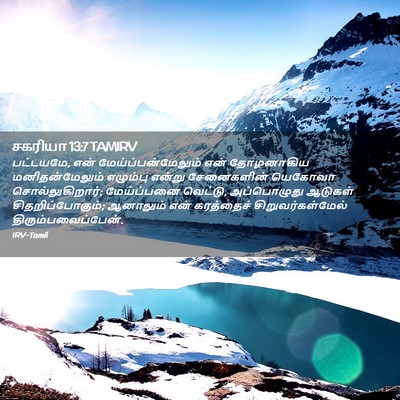 Picture 02 - சகரியா 13:7 TAMIRV - பட்டயமே, என் - Bible Verse Picture