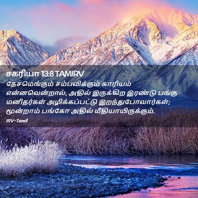Picture 02 - சகரியா 13:8 TAMIRV - தேசமெங்கும் - Bible Verse Picture