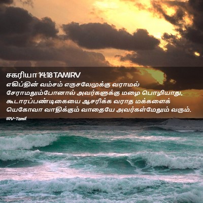 Picture 02 - சகரியா 14:18 TAMIRV - எகிப்தின் வம்சம் - Bible Verse Picture