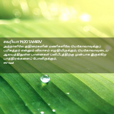 Picture 02 - சகரியா 14:20 TAMIRV - அந்நாளிலே - Bible Verse Picture
