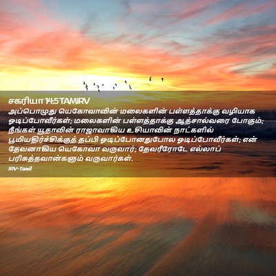 Picture 02 - சகரியா 14:5 TAMIRV - அப்பொழுது - Bible Verse Picture