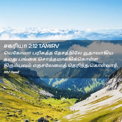 Picture 02 - சகரியா 2:12 TAMIRV - யெகோவா பரிசுத்த - Bible Verse Picture
