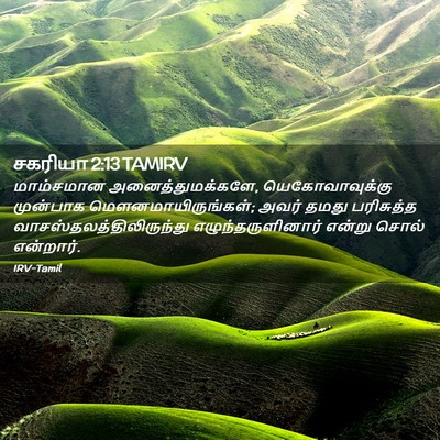 Picture 02 - சகரியா 2:13 TAMIRV - மாம்சமான - Bible Verse Picture