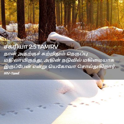 Picture 02 - சகரியா 2:5 TAMIRV - நான் அதற்குச் - Bible Verse Picture