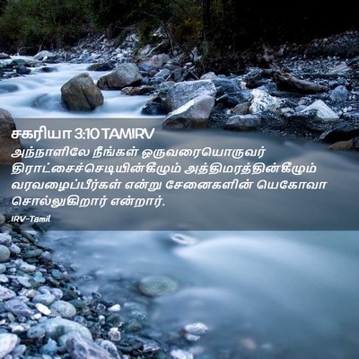 Picture 02 - சகரியா 3:10 TAMIRV - அந்நாளிலே நீங்கள் - Bible Verse Picture