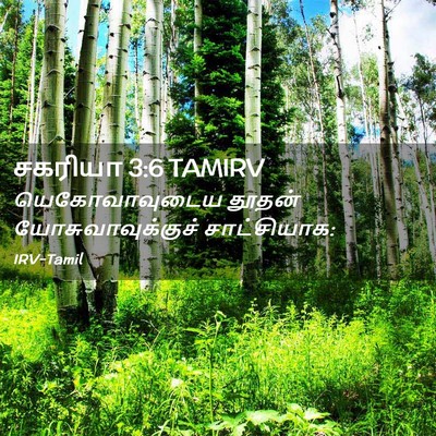 Picture 02 - சகரியா 3:6 TAMIRV - யெகோவாவுடைய தூதன் - Bible Verse Picture