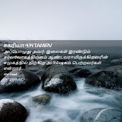 Picture 02 - சகரியா 4:14 TAMIRV - அப்பொழுது அவர்: - Bible Verse Picture