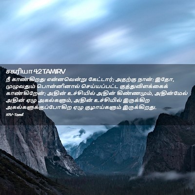 Picture 02 - சகரியா 4:2 TAMIRV - நீ காண்கிறது - Bible Verse Picture