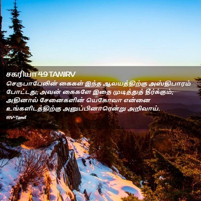Picture 02 - சகரியா 4:9 TAMIRV - செருபாபேலின் - Bible Verse Picture