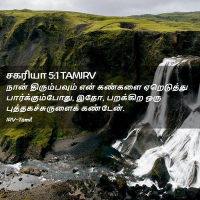 Picture 02 - சகரியா 5:1 TAMIRV - நான் திரும்பவும் - Bible Verse Picture