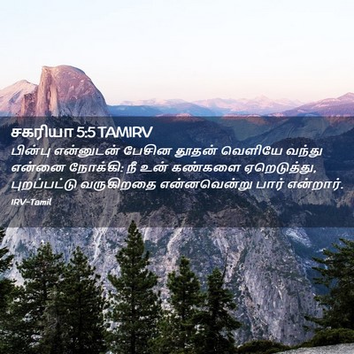 Picture 02 - சகரியா 5:5 TAMIRV - பின்பு என்னுடன் - Bible Verse Picture