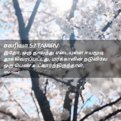 Picture 02 - சகரியா 5:7 TAMIRV - இதோ, ஒரு தாலந்து - Bible Verse Picture