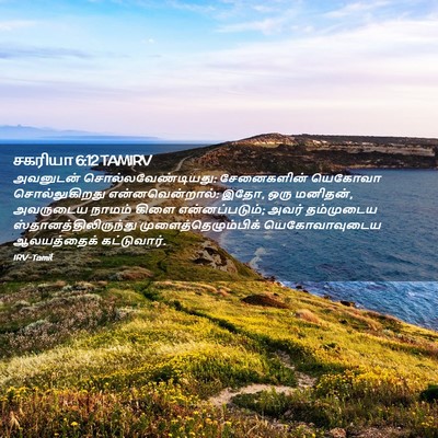 Picture 02 - சகரியா 6:12 TAMIRV - அவனுடன் - Bible Verse Picture