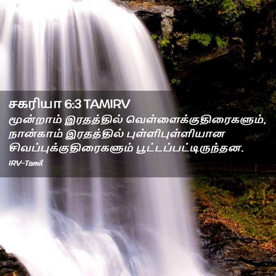 Picture 02 - சகரியா 6:3 TAMIRV - மூன்றாம் - Bible Verse Picture