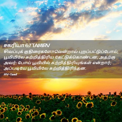 Picture 02 - சகரியா 6:7 TAMIRV - சிவப்புக் - Bible Verse Picture